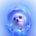 ɰС