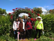 一位家园老人的心声 /神慈草