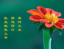 理念壁纸下载 （一）120张