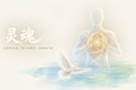 【禅院百科】灵魂 视频+图文