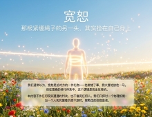 【禅院百科】宽恕 视频+图文