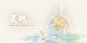【禅院百科】灵魂 视频+图文