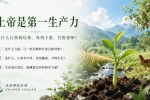 【禅院百科】上帝是第一生产力 视频+图文
