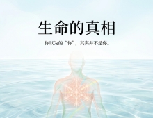 【禅院百科】生命 视频+图文