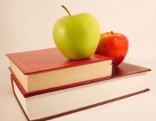 《禅院百科》电子书 CHM版 可下载（已经更新至2011年9月17日）