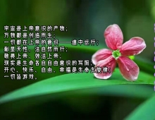 【用图文说话】信任是蜂蜜，不信任是一把刀