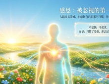 【禅院百科】感恩 视频+图文
