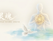 【禅院百科】灵魂 视频+图文