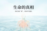 【禅院百科】生命 视频+图文