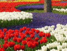 给禅院草亲人们的公开信