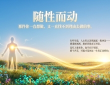 【禅院百科】随性而动 视频+图文