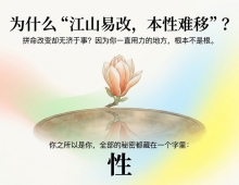 【禅院百科】性 视频+图文