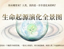 【禅院百科】生命起源演化全景图 视频+图文