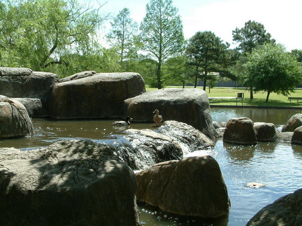 0060200140.jpg