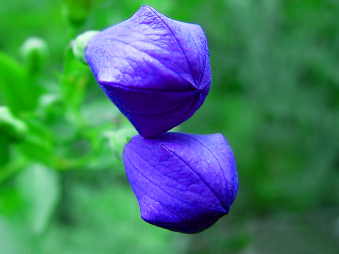 a7c330431fb7250d72f05d16.jpg
