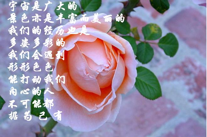 4539_12811636125yL5.jpg