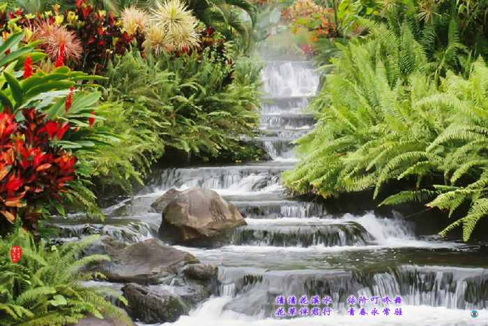 062 廨Ϫˮ.jpg