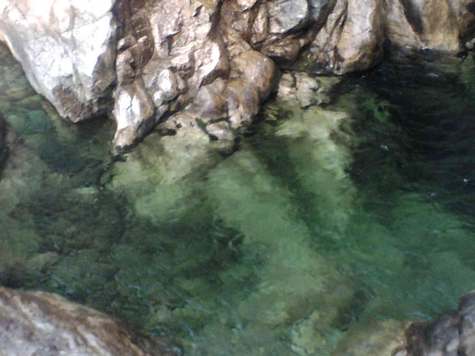 s56.jpg