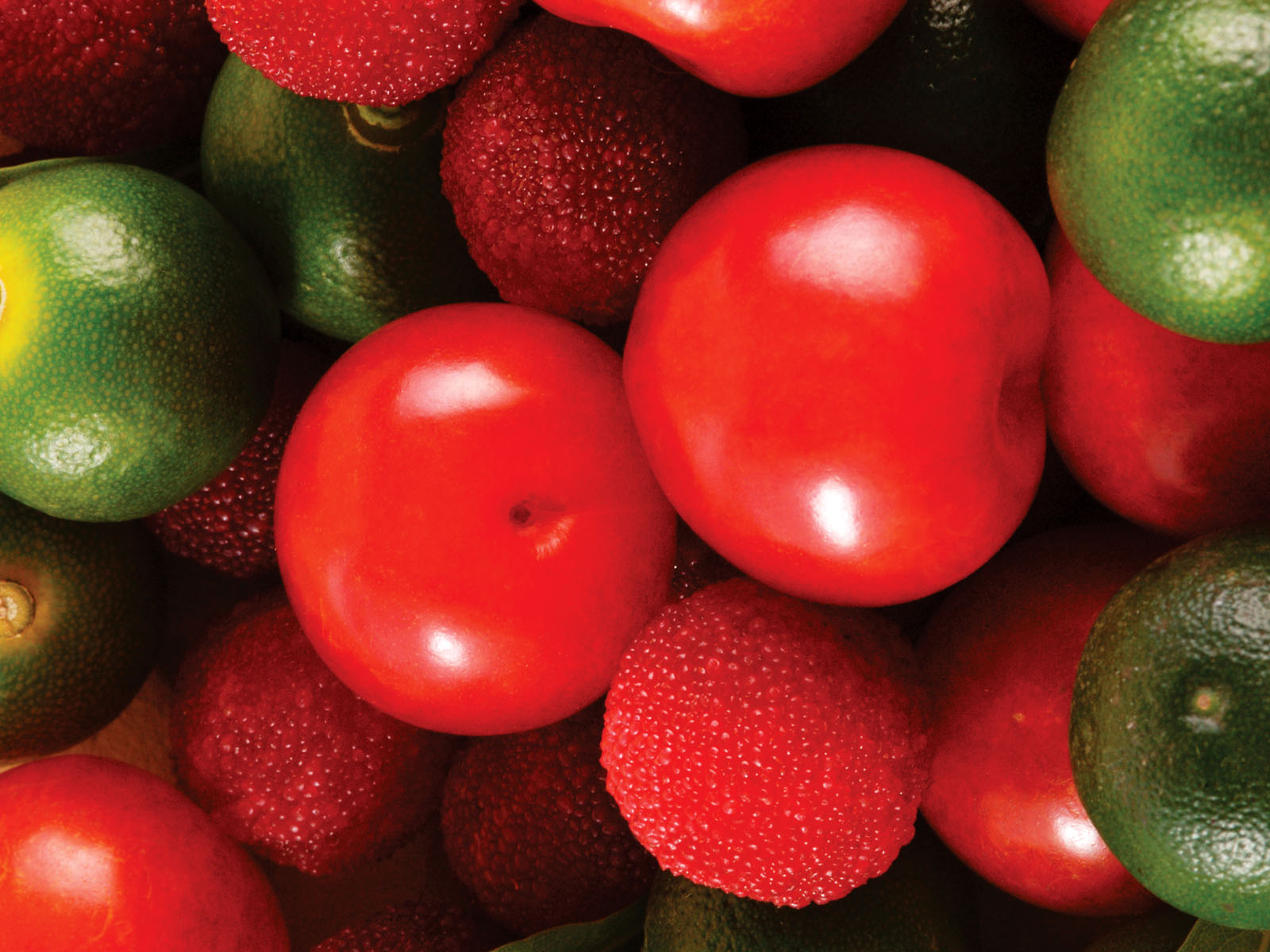 1028074_070608fruit19.jpg