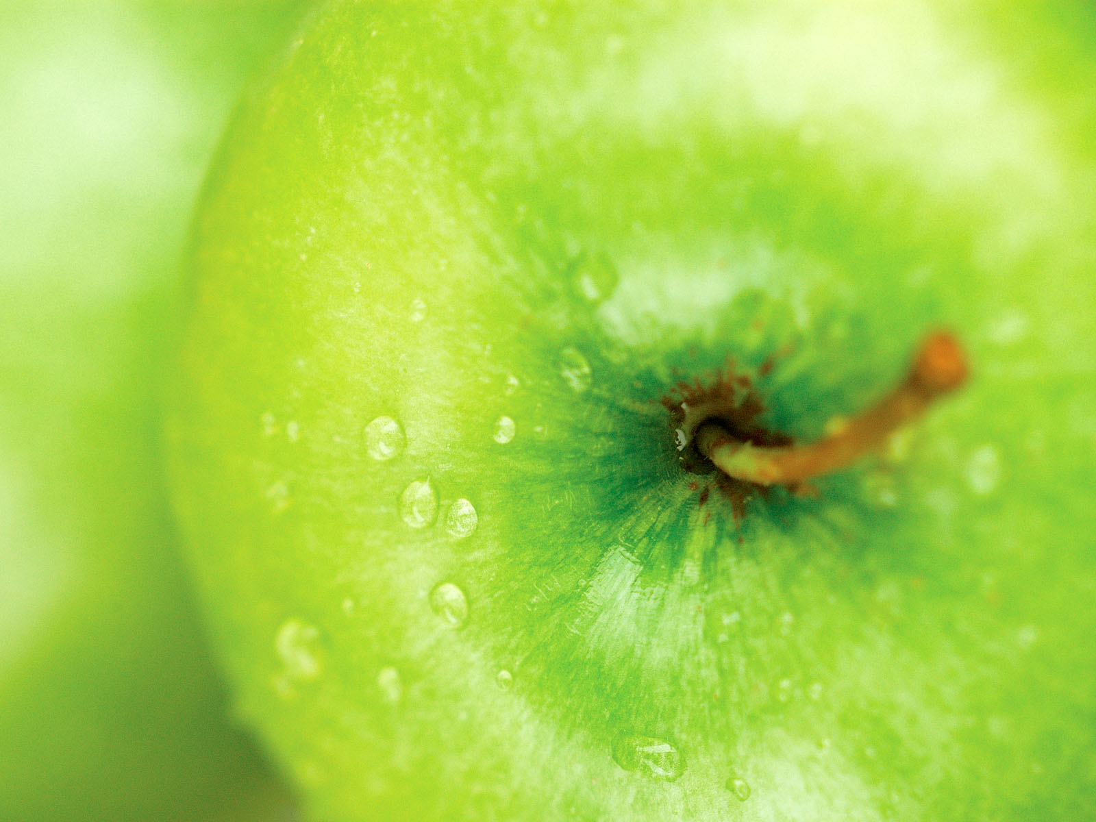 1028074_070608fruit32.jpg