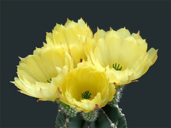 7686937_12.jpg