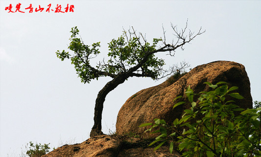ScreenShot00080.jpg