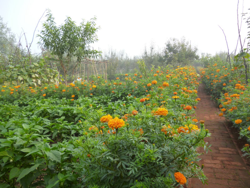 P1050866.JPG