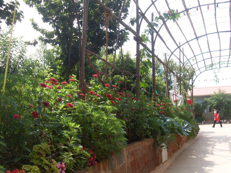 SDC14579.JPG