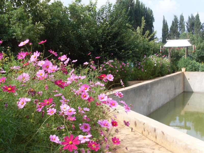 SDC14585.JPG