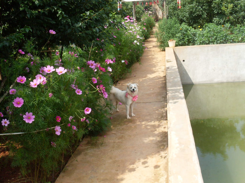 SDC14588.JPG