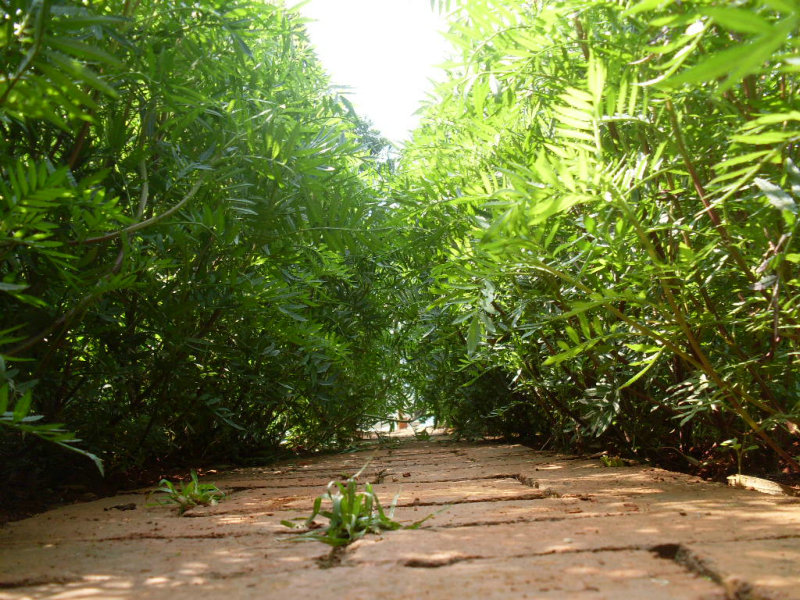 SDC14622.JPG