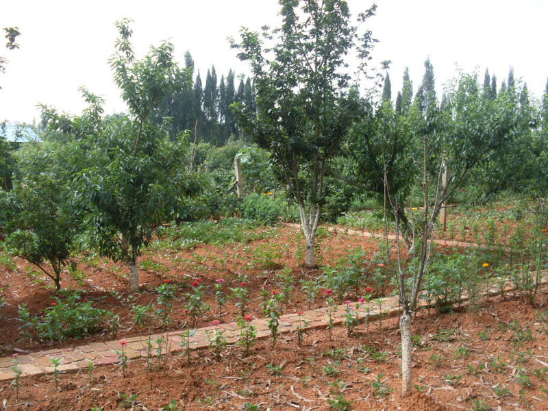 SDC14629.JPG