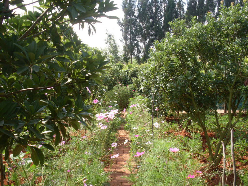 SDC14646.JPG