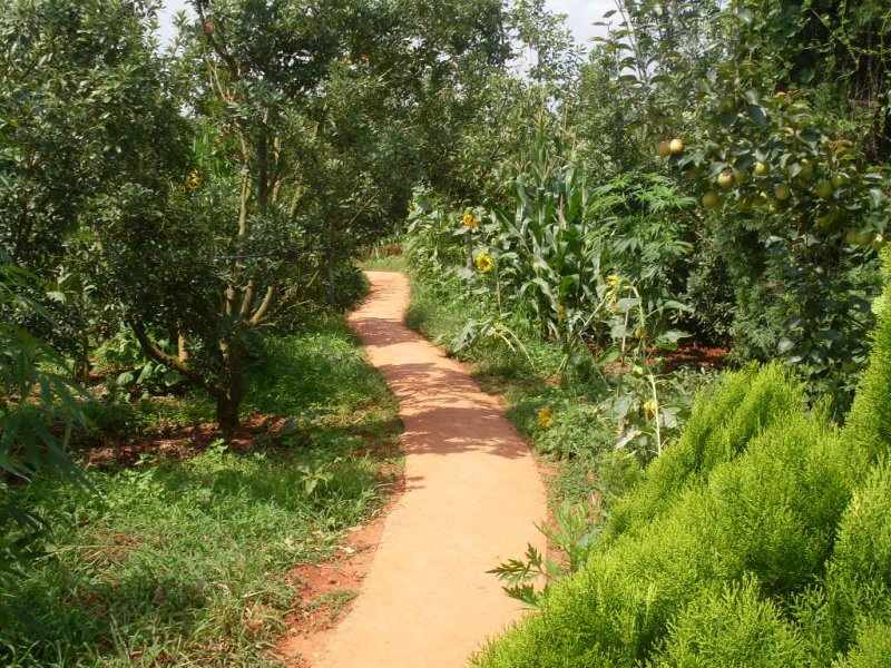 SDC14742.JPG