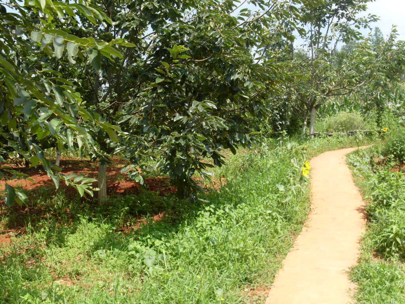 SDC14746.JPG