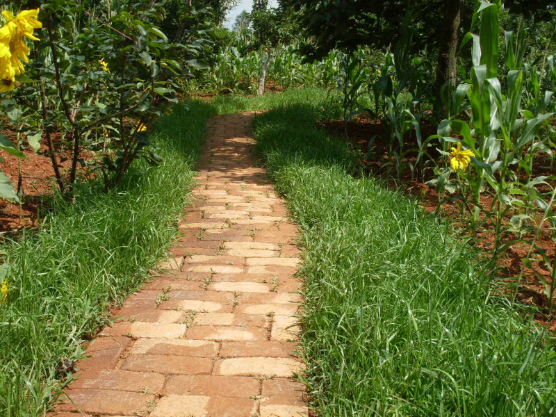SDC14750.JPG