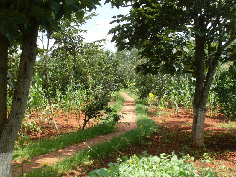SDC14759.JPG