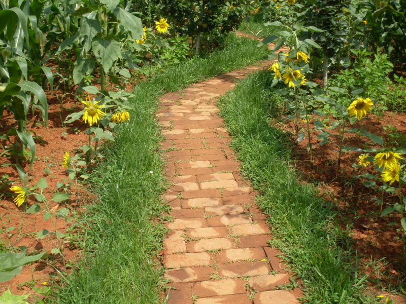 SDC14762.JPG