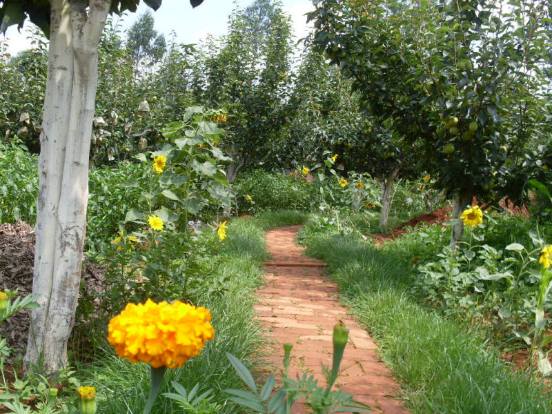 SDC14765.JPG