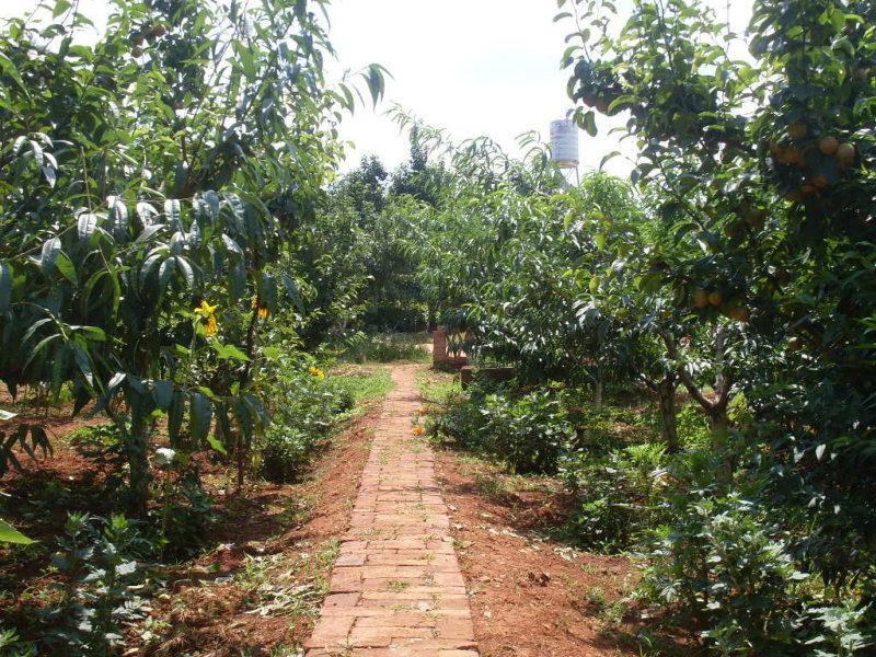 SDC14807.JPG