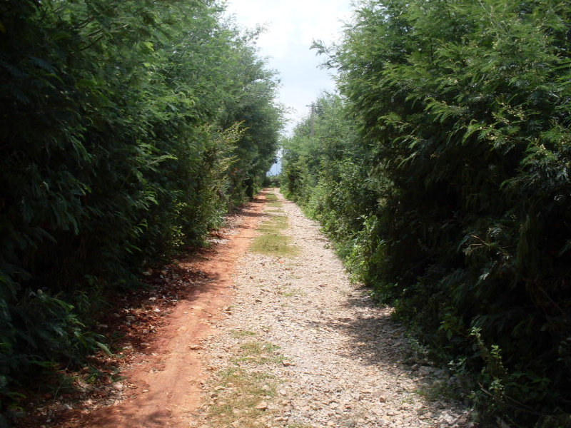 SDC14854.JPG
