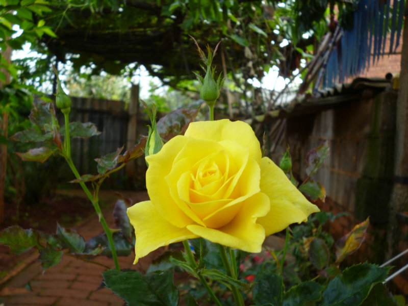 110721045113df56471888bbde.jpg