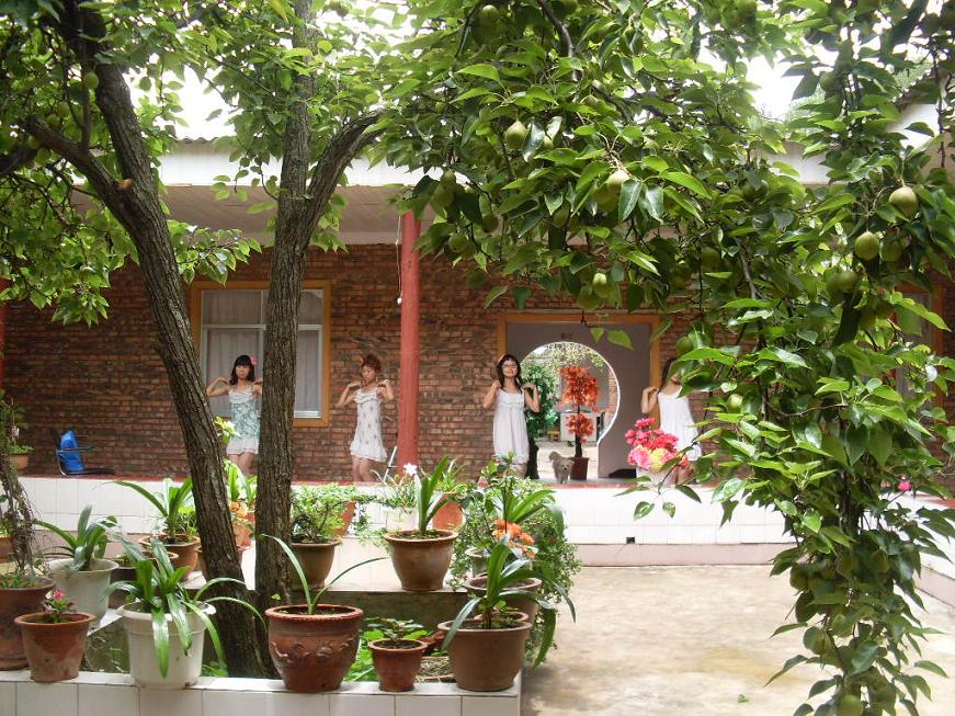 SDC14306.JPG