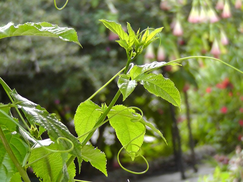 S1460161.JPG