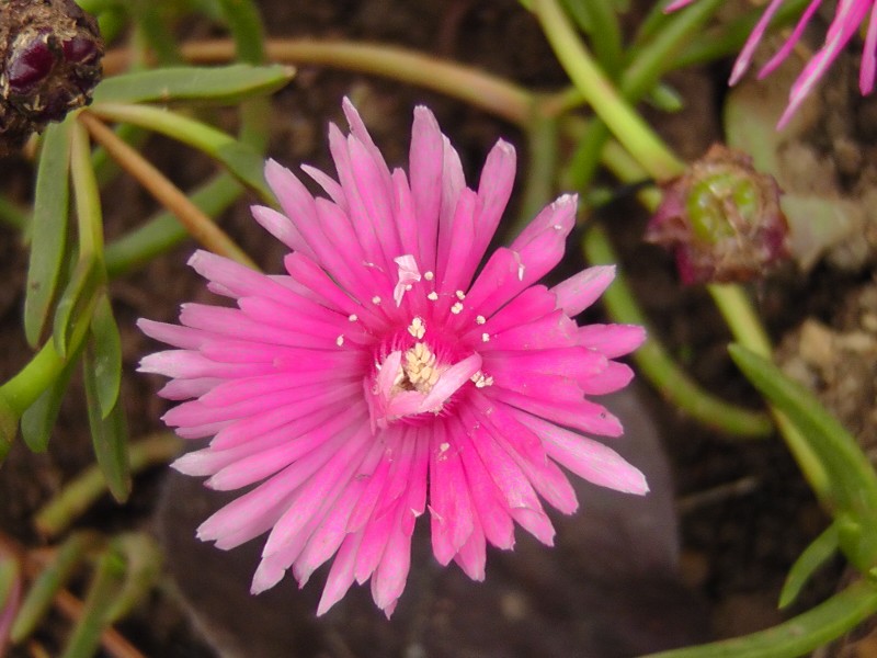 S1460146.JPG