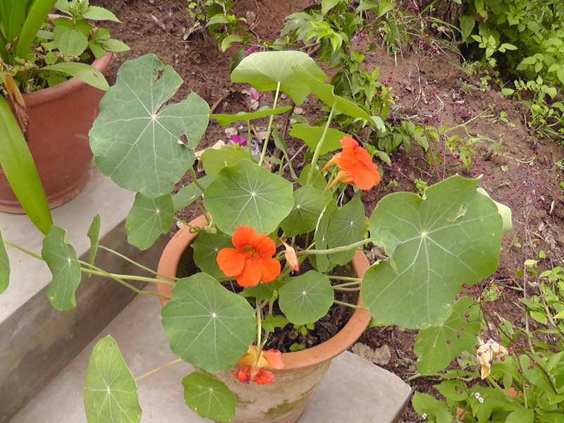 S1460157.JPG