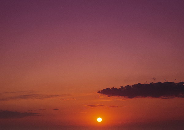 17301599_4.jpg