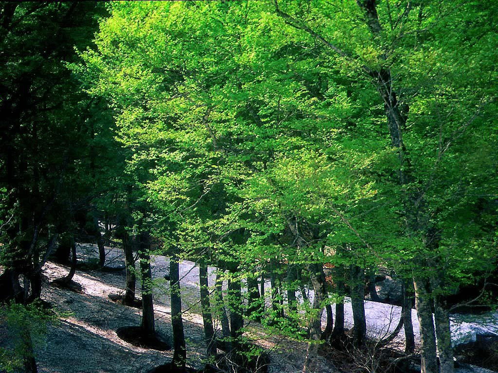 5435530_8.jpg