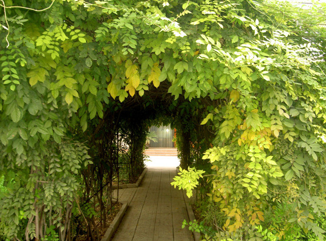 17268100_1.jpg