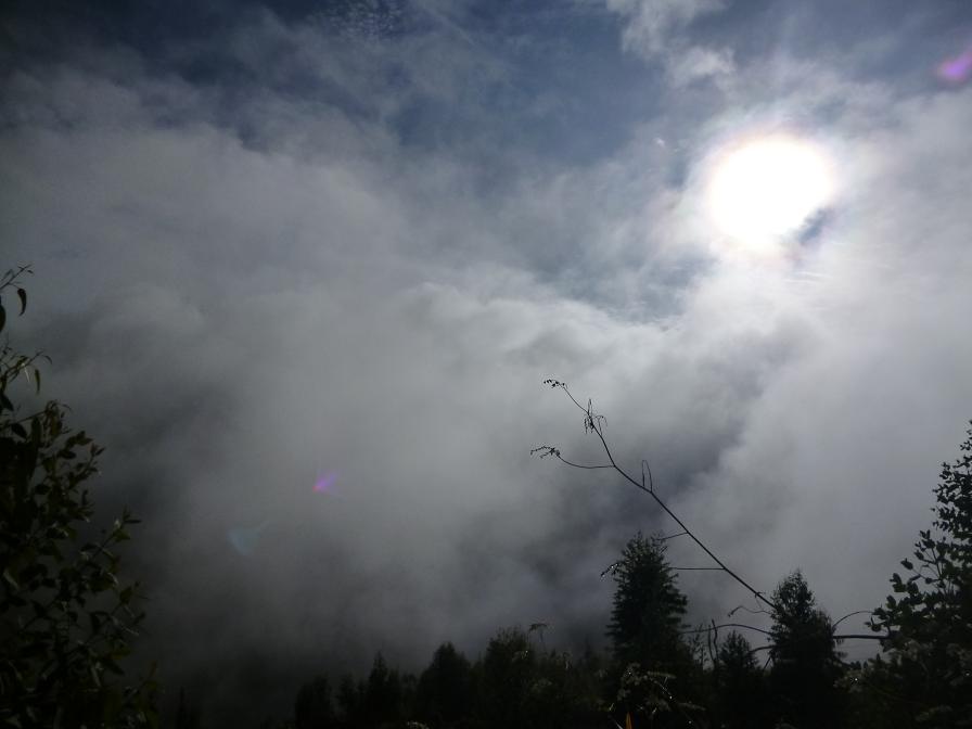 11092104320373cc67d5c869af.jpg